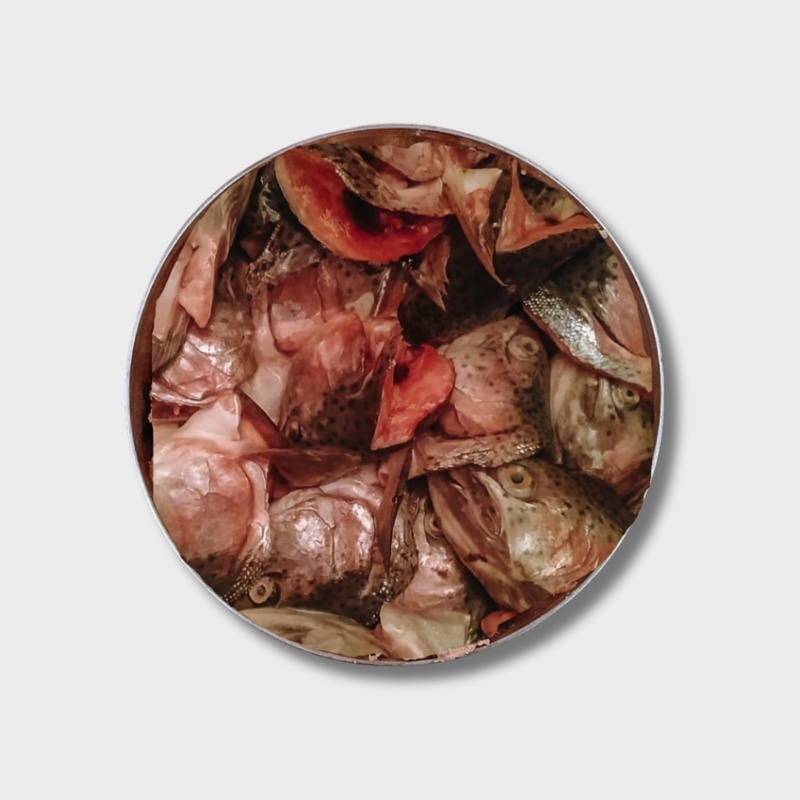 Головы красной рыбы