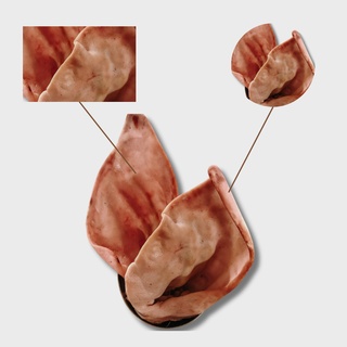 УШИ СВИНЫЕ БЛОК (ОТ 4-х блоков)