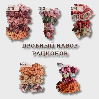 ПРОБНЫЙ НАБОР РАЦИОНОВ (10шт по 300г)