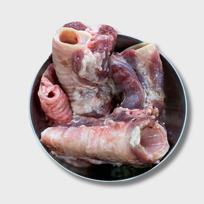 Трахея барана